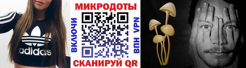 Псилоцибиновые грибы Magic Shrooms  Купить закладки  Лобня 
